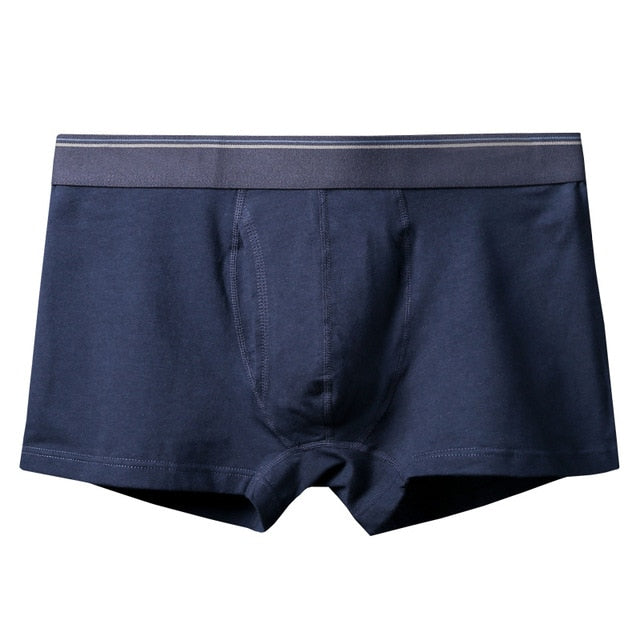 boxer mens underwear men cotton underpants male pure men panties shorts underwear boxer shorts cotton solid cuecas