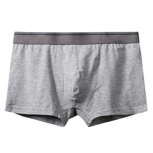 boxer mens underwear men cotton underpants male pure men panties shorts underwear boxer shorts cotton solid cuecas