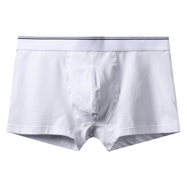 boxer mens underwear men cotton underpants male pure men panties shorts underwear boxer shorts cotton solid cuecas