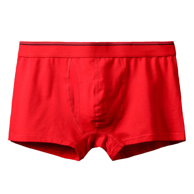 boxer mens underwear men cotton underpants male pure men panties shorts underwear boxer shorts cotton solid cuecas